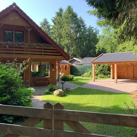 'T Holten Huus - Puur Genieten In Het Bos. Norg Exterior photo