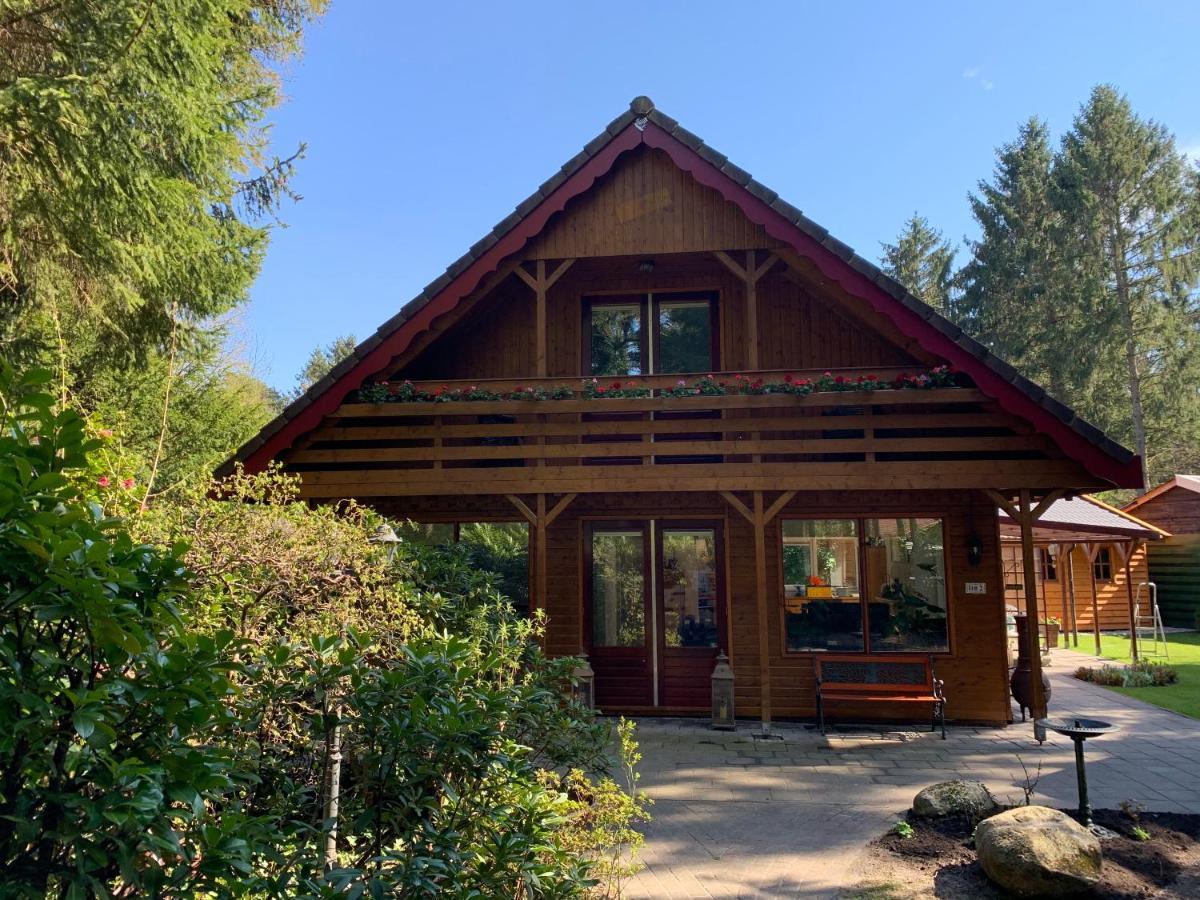 'T Holten Huus - Puur Genieten In Het Bos. Norg Exterior photo